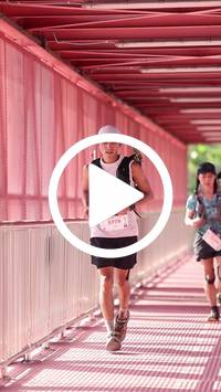 BIB:  <button type="button" onclick="openModal(27308860)" class="btn btn-primary btn-sm float-right" data-toggle="modal" data-target=".modal-high-quality">
                <i class="fa fa-download"></i> Download
                </button>